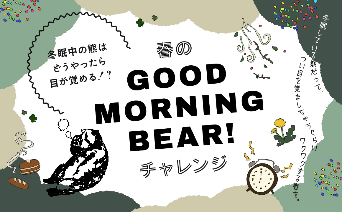 春のGood morning BEAR!チャレンジ